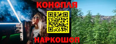 ешки Моздок