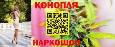 ешки Моздок