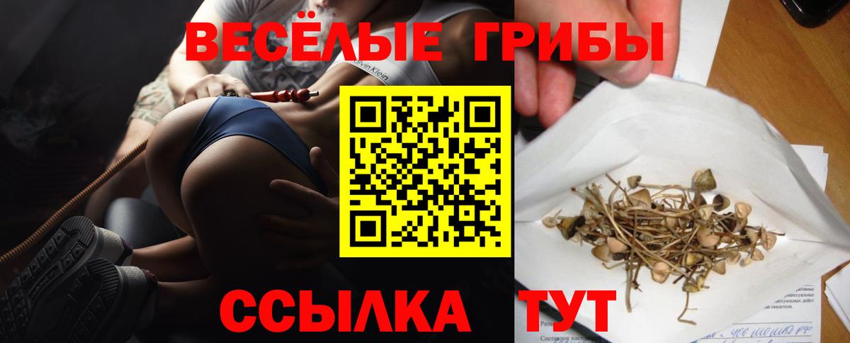купить  цена  Галлюциногенные грибы прущие грибы  Вход с VPN  Дербент 